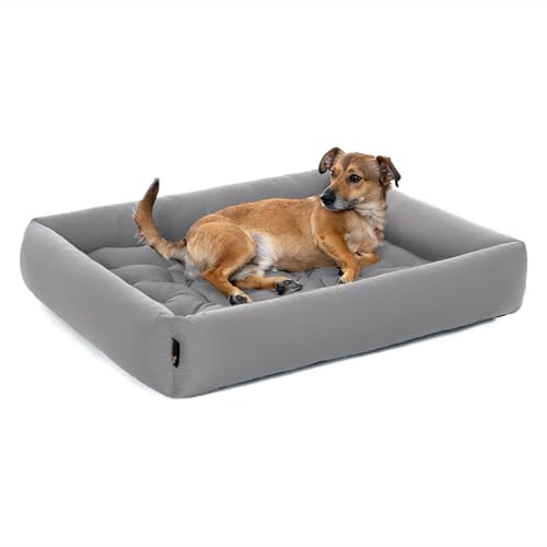 Pointer | Hundebett Mittelgroße Hunde - Orthopädisches Hundebett mit Herausnehmbarer Matratze, Waschbar bis 95°C, Trocknergeeignet, Kratzfest & Bissfest, Made in Germany (XL - 90x80 cm, Hellgrau)