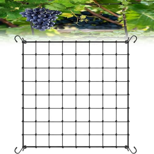 Coffee Life Plus Red de Tienda de Cultivo,40/60/90/120CM Red de Enrejado elástico,Red de Soporte de Plantas para Verduras,Enrejado de Red Flexible,Malla elástica para Plantas con Ganchos (90x90cm)
