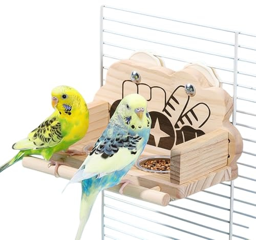 Bol À Nourriture Pour Oiseaux Double Bols D'Eau Transparents
