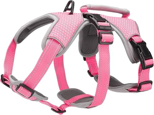 BELPRO Multianvändning Stöd Hundsele, Escape Proof No Pull Reflekterande justerbar väst med hållbart handtag, hundpromenadsele för stora/aktiva hundar (Rosa, M)