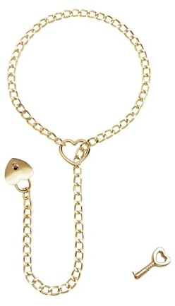 GAUEIOUR Womens Slip Chain Necklace Heart O-Ring,Punk Rock Link Chains Necklace, Adjustable Stainless Steel Lasso Heart-Shaped Jewelry, Fashionable and Trendy Item, Lock Core With Key (Gold)