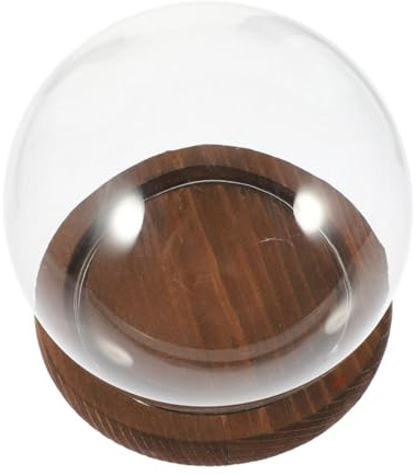 Mobestech Pot Décoratif Verre Transparent avec Base Pot Cloche pour Exposition De Plantes Cache-Pot pour Fleurs Preserved