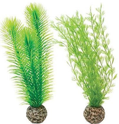biOrb Easy Plant Feather Fern, Small by Reef One