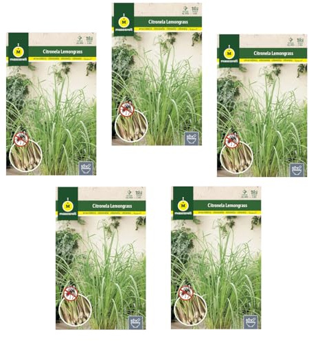 Semillas de Citronela DECOALIVE Set de 5 Sobres de Semillas de Lemongrass