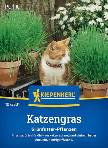 Kiepenkerl Katzengrassamen Frischgrün Mischung 1073301, Saatgut | Schnell und einfach, niedriger Wuchs, Gräser, Ernte ab Abstand