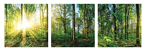 levandeo 3er Set Wandbild je 30x30cm Glasbild Wald Natur Sonne Landschaft Wanddeko Baum Wandobjekt