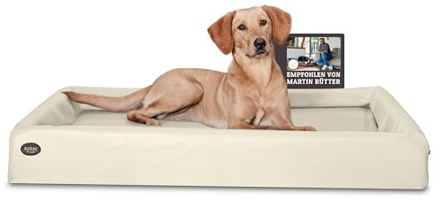 SABRO KUDDE Orthopädisches Hundebett – Martin Rütter – Hochwertiges Kunstleder – Waschbar & Wasserabweisend – Ergonomisch – Premium Haustierzubehör für Mittelgrosse, Grosse Hunde in Creme