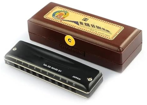 Erwachsene Mundharmonika Professionelle diatonische 10-Loch-Mundharmonika Blues Harp Tonart C(D)