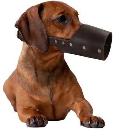 Taco Dog, Maulkorb aus Leder, handgefertigt aus Vollnarbenleder, sichere Trainingsabdeckung, Mundschutz Maske verhindert Beißen Kauen - Bourbon Brown (klein)