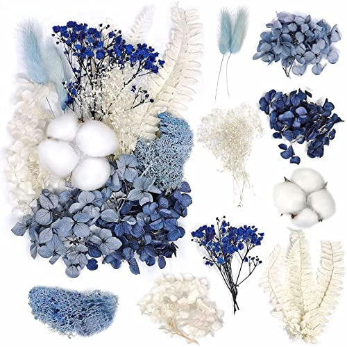 Fokroin Trockenblumen Blau, Trocken-Blumen Zum Basteln, Getrocknete Blumen, TRO-ckenblumen Set DIY, Natürliche Getrocknete Blumen, für Kunst DIY Harz Scrapbooking Handwerk Karten Machen