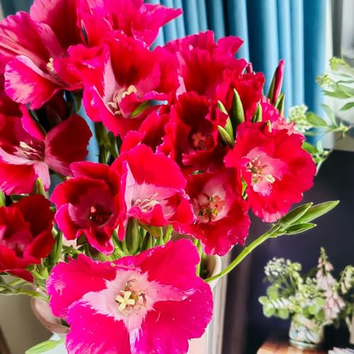 Semillas de azalea de verano, semillas de decoración invernaderos de balcón resistentes para el jardín 80pcs