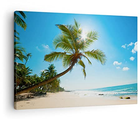 Bilder auf Leinwand Strand Palme Meer Leinwandbild mit Rahmen 70x50cm Wandbilder Dekoration Wohnzimmer Schlafzimmer Küche Deko Klein Wanddeko Bild Wand Kunstdruck Art Wall Decor Canvas AA70x50-3570