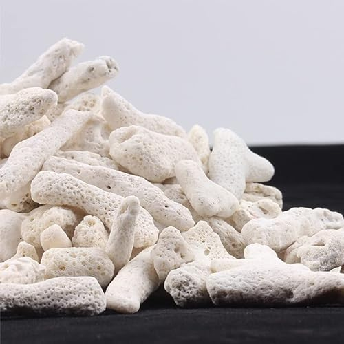 500 g Aquarium-Filter, Korallen-Schale für Süßwasser, Meerwasser, natürliches Riff, Korallenknochen, Sand, Bioradfilter, mittelgroß, um Bakterien zu nitrifizieren