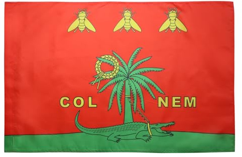AZ FLAG Bandiera Città di Nîmes Colnem 150x90 cm Poliestere 100D Asola | Uso interno ed esterno bandiera decorativa francese doppie cuciture e bordi rinforzati con guaina per asta