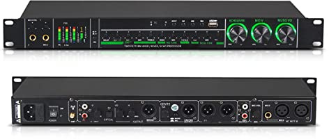 DDARKHORSE E-280 Audio Pre-Stage Reverb DSP-Prozessor mit USB, 4.0 Bluetooth, optischer Schnittstelle für Karaoke-Effektsystem