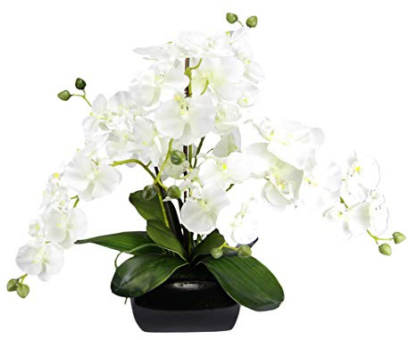 Kunstblume Schmetterling Orchidee 40cm mit Blätter und Luftwurzeln in Schale aus Keramik Künstliche Blume Kunstorchidee Phalaenopsis mit Übertopf Kunstpflanze Hochzeit Deko Seidenblume Real Blüte