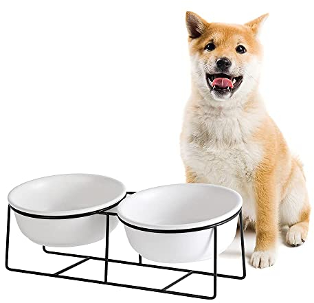 Erhöhter Hundenapf aus Keramik mit Metallständer - Doppelte Näpfe für Futter und Wasser - Fressnapf für Katzen und kleine bis mittelgroße Hunde - Weiß