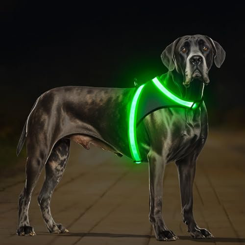 ChalkLit LED Leuchtendes Hundegeschirr USB Wiederaufladbares Vollständig Beleuchtetes Hundegeschirr Leuchtet Im Dunkeln für Nachtspaziergänge Sicherheitsweste, mittelgroße große Hunde (Grün, L)