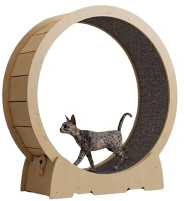 DIIDIIFF Haustierspielzeug-Katzenlaufrad, Katzenlaufband für alle Katzen, Katzen-Fitness-Laufrad, mit Sicherheitsverriegelungsmechanismus, 4 Größen Katzenspielzeug