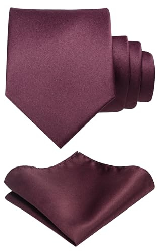 RBOCOTT Maroon Tie and Pocket Square Necktie Set for Men(19)