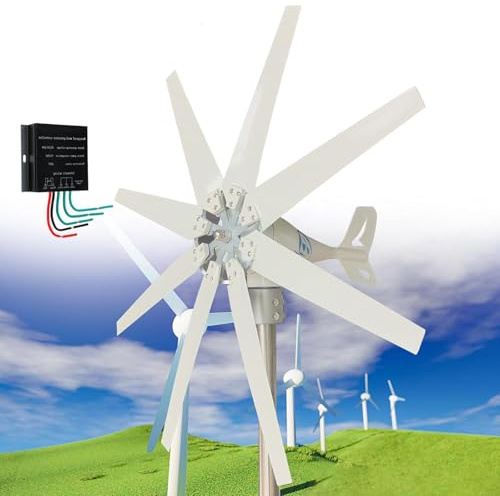 DDZJTPP Turbina Eólica 10000W - Generador de Molino de Viento 8 Palas, Controlador MPPT 12V/24V/48V, Velocidad de Arranque 2m/s