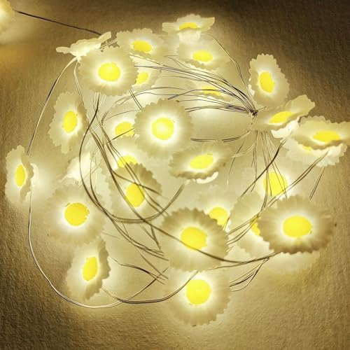 Sunshine smile Herbst Eichel Lichterkette,LED-Ballons Lichter,Lichterkette Weihnachten (B3)
