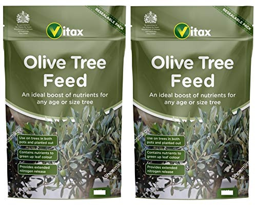 2 x Olive Tree Feed 900g