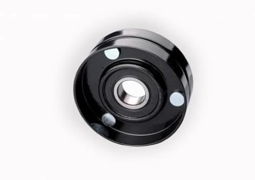 ROLL OP02 Umlenk- / Führungsrolle Keilrippenriemen Kompatibel mit FORD FIESTA III GFJ