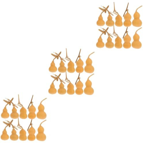 COHEALI 30 Pz Wen Gioca a Mini Zucca Mini zucche Decorative Mini zucche Ornamentali zucche Naturali zucche essiccate per la Lavorazione Artigianato Zucca Decorazioni Artigianali di Zucca