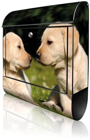 banjado Design Briefkasten 38,5x46,5x13cm & 2 Schlüssel - Briefkasten Stahl Schwarz mit Zeitungsfach pulverbeschichtet - Postkasten A4 Einwurf inkl. Montagematerial - Motiv Labrador