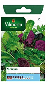 Sachet graines Mesclun