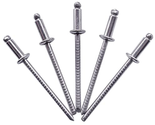 (100 Stück) Edelstahl Blindnieten 3,2 x 8 mm Kuppelkopf Popnieten DIN 7337 A2 Niet Rillendorn (100, 3,2 x 8 mm)