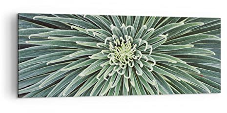ARTTOR Leinwandbild 140x50cm Wandbild Botanik Blumen - 4905 | Agave Grün Pflanze Panorama Groß XXL Wanddekoration Wohnzimmer Schlafzimmer Wanddeko Wand Kunstdruck Wandkunst ARTTOR