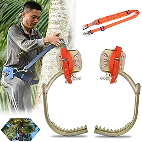 Generic Juego de estacas para trepar árboles, observación de caza, equipo de recolección de frutas, artefacto para trepar árboles, picos de escalada de árboles y accesorios de trabajo