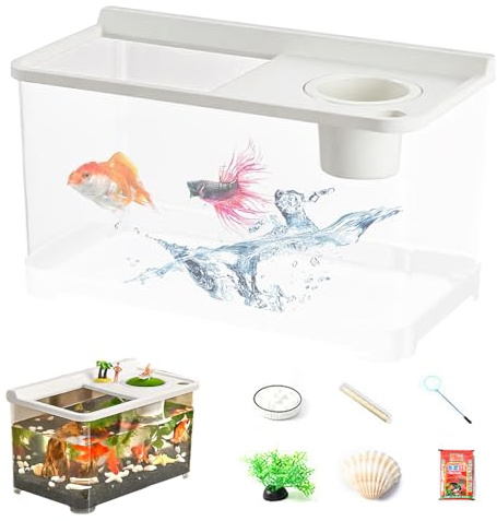 Hydroponic Aquarium Starter KIt - Betta Fish Tank with 3 Color Lights | Household Fish Tank for Tabletop Landscaping, Home Entryway Foyer Bedroom Workplace, Beginners Indoor Decoration