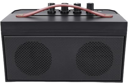 WINH 30W Portable Acoustic Guitar Speaker with Distortion and Reverb Functions, for Acoustic Guitar Amplifiers, ABS Black