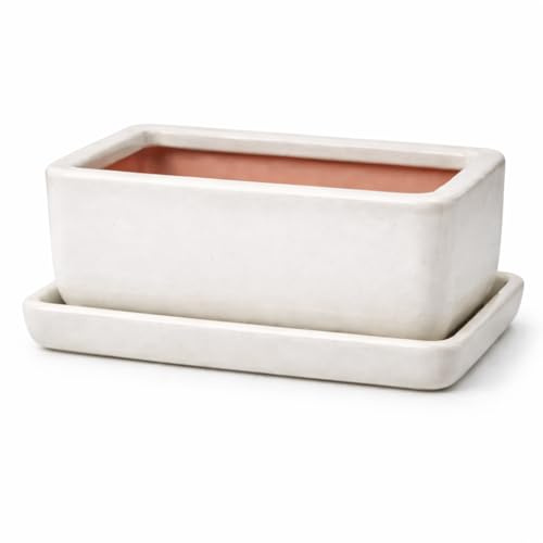 FRANCACOR Maceta TERRINA Bonsai Barro ESMALTADO Colores con Plato - Jardinera Rectangular con Plato (Blanco)