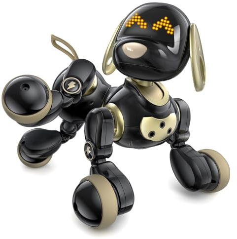 Ruko 18011 Roboter Robo Hund für Kinder, LED Ausdrücke, Schwarz Gold | programmierbar, 2,4 GHz Fernbedienung Gestensteuerung, Geschenke für Kinder Jungen Mädchen 3 4 5 6 7 8 Jahre