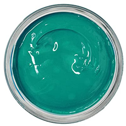 Famaco 50ml Green Jamaique Menthe Leather Deluxe Cream Polish for Boot and Shoe with Application Sponge - Long Lasting Shine Protector Kit for Boots and Shoes