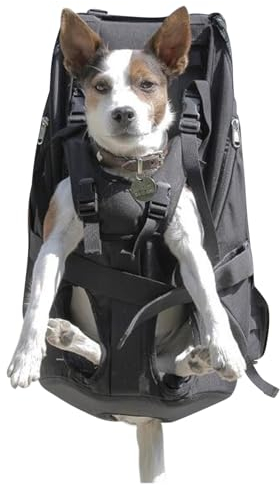 Patentierter Premium Leg Free Rucksack zum Tragen von Hunden Hunderucksack Hundetrage Hundetragerucksack für Hunde von 11-18kg mit 4-Träger Targesystem