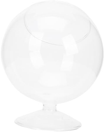 HEMOTON Vase à Plantes Succulentes Verre Décoratif Pot De Rangement pour Compositions Botaniques Bouteille De Micro-Paysage