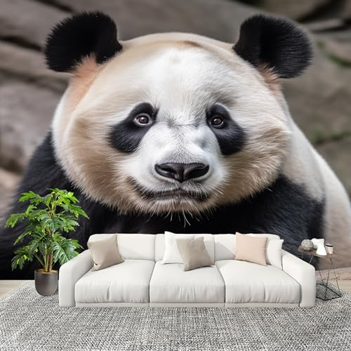 Papel Pintado Panorámico 300x210 cm Animales Pandas Primer Plano Personalizable Fotomurales No Tejido Póster Pared Decoración En Blanco Y Negro 3D Duradero y Resistente a las manchas Fotomurales