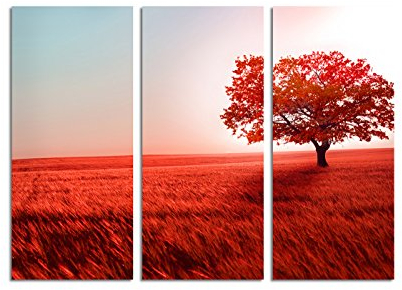 Paul Sinus Art 130x90cm – Keilrahmenbild Ähren Baum Abendrot Herbstlandschaft 3teiliges Wandbild auf Leinwand und Keilrahmen - Fotobild Kunstdruck Artprint