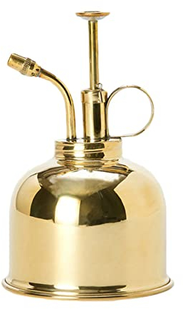 KAYLRE Arrosoir Arrosage Nordic Anglais Vintage Bouteille Plantes succulentes Petite Famille Petite pulvérisation de Jardinage en Pot Peut Arrosoir Plante Interieur