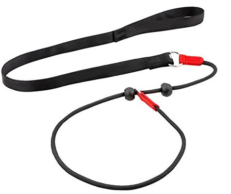 Laisse Dressage Rembourrée Corde,1,4 m Laisse de Contrôle Professionnelle avec 2 Poignées pour Chien Chiots de Petite Taille Moyenne