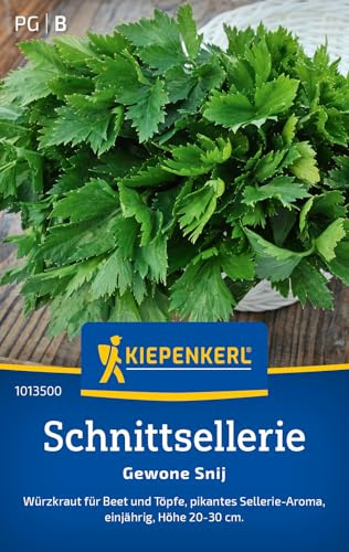 Kiepenkerl Schnittselleriesamen Gewone Snij 1013500, Kräutersaat | Pikanten Sellerie Aroma, Wuchshöhe 20-30 cm, aromatisch, einjährig, für Beet, Topf & Balkon