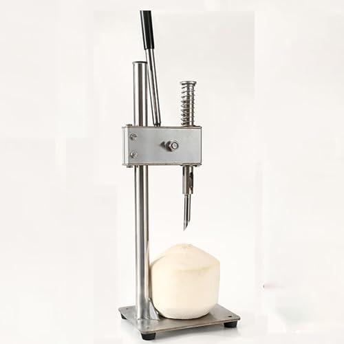 TYXFSMYXGS Couteau à huîtres ouvre-Coquille d'huîtres Outil Professionnel pour Ouvrir Le Poisson Couteau à huîtres en Acier Inoxydable ouvre-Coquille