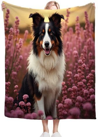 Gumntun Coperta in flanella doppia spessa 150 x 200 cm, con bordo giallo Collie per adulti, morbida e confortevole, per letto, divano da viaggio, leggera, termica, 150 x 200 cm, per adulti e ragazzi