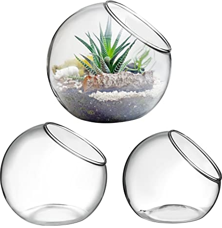 3 Stück Luftpflanzen-pflanzgefäß -terrarium Mittelstück Luftpflanzentopf Farnpflanze Terrarium Sukkulenten Durchsichtige Schale Terrarium Sukkulenten-pflanzgefäß Hydrokultur Blumentopfständer Glas