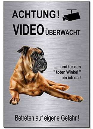 Boxer-Videoüberwachung-Hund-Schild-Hundeschild-150 x 100 x 3 mm-Aluminium Edelstahloptik-Hunde-Tierschild-Warnschild-Hinweisschild (1905-113 mit Klebepads)